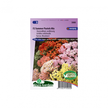 Achillea millefolium Summer Pastels F2