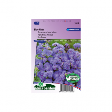 Ageratum houstonianum Blue Mink