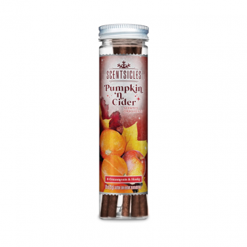 Scentsicles Geurstokjes met haakjes Spiced Pumpkin n Cider 6 stuks