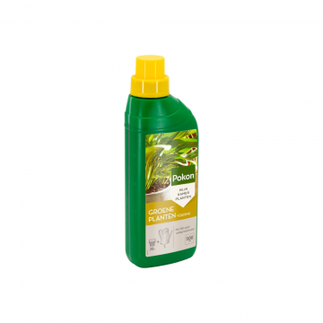 Pokon Groene Planten Voeding 500ml