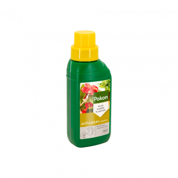 Pokon Anthurium Voeding 250ml