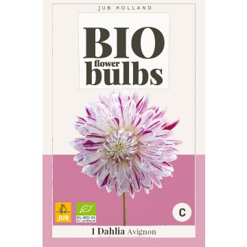 Bio Dahlia Avignon