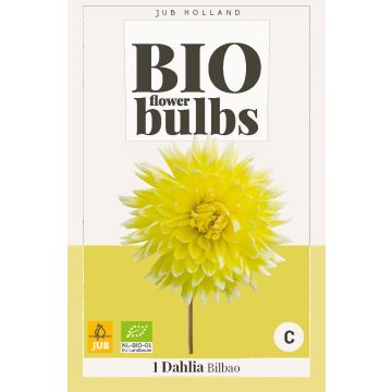 Bio Dahlia Bilbao