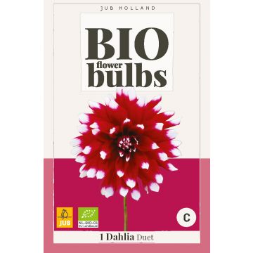 Bio Dahlia Duet