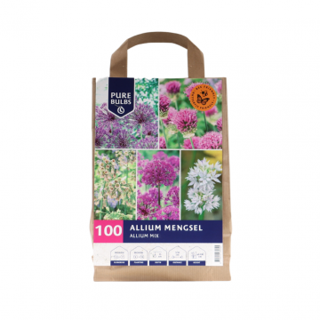 Pure Bulbs Allium Mengsel Allium Mix 100 bollen