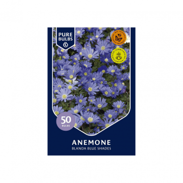 Pure Bulbs Anemone Blanda Blue Shades 50 bollen