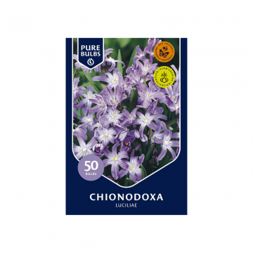 Pure Bulbs Chionodoxa Luciliae 50 bollen