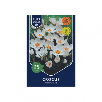 Pure Bulbs Crocus Ard Schenk 25 bollen