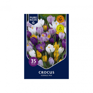 Pure Bulbs Crocus Vernus Mix 20 bollen