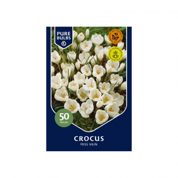 Pure Bulbs Crocus Romance 50 bollen