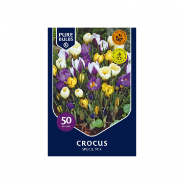 Pure Bulbs Crocus Specie mix 50 bollen