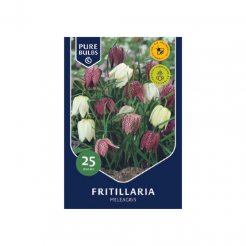 Pure Bulbs Fritillaria Meleagris 25 bollen