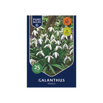 Pure Bulbs Galanthus Nivalis 25 bollen