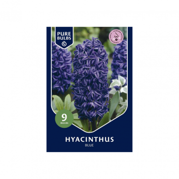 Pure Bulbs Hyacinthus Blue 9 bollen