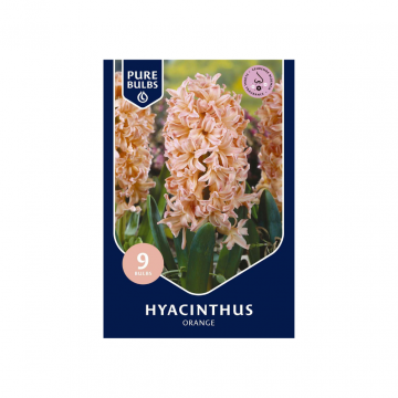 Pure Bulbs Hyacinthus Orange 9 bollen