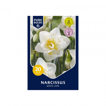 Pure Bulbs Narcissus White Lion 15 bollen