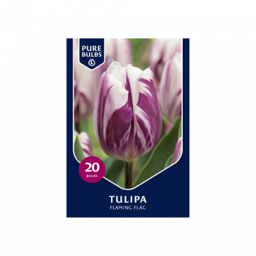 Pure Bulbs Tulipa Flaming Flag 20 bollen