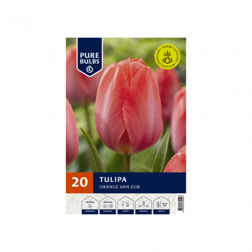 Pure Bulbs Tulipa Orange van Eijk 20 bollen