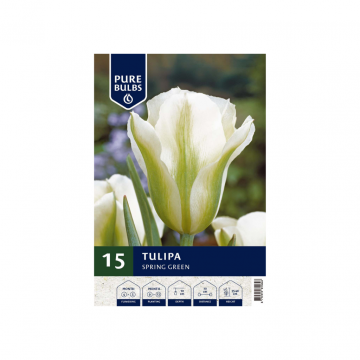 Pure Bulbs Tulipa Spring Green 15 bollen