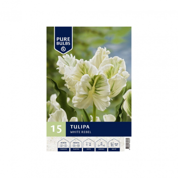 Pure Bulbs Tulipa White Rebel 15 bollen