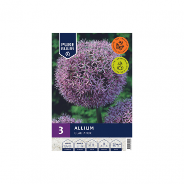 Pure Bulbs Allium Gladiator 3 bollen