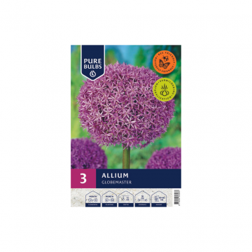 Pure Bulbs Allium Globemaster 3 bollen