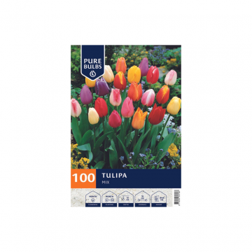 Pure Bulbs Tulipa Mix 100 bollen