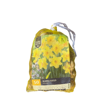 Pure Bulbs Narcissus Yellow 50 bollen