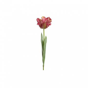 Decoris Tulp Fuchsia 68 cm