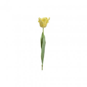 Decoris Tulp Geel 68 cm