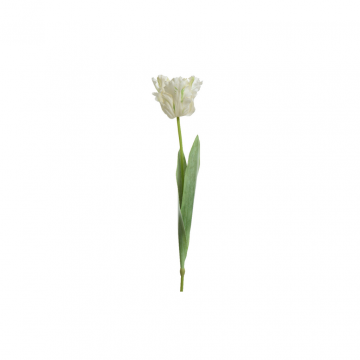 Decoris Tulp Wit 68 cm