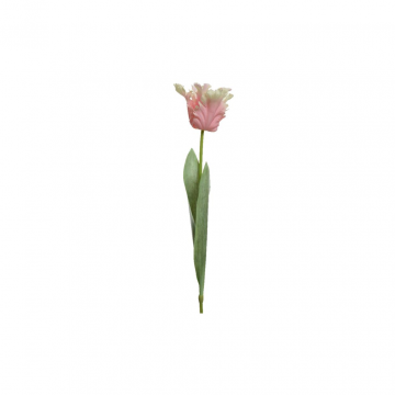 Decoris Tulp Roze 68 cm