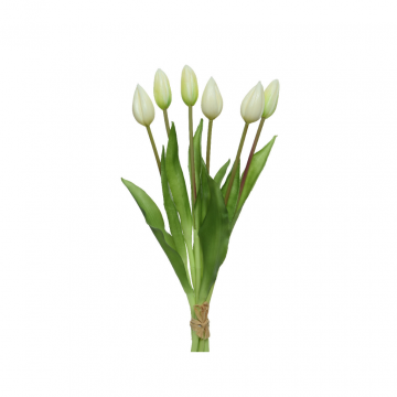 Decoris Tulpen Bos 6 stuks Creme