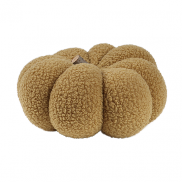 Pompoen Teddy Beige 15 x 25