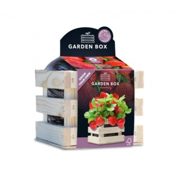 Gardenbox kweekset Aardbei reuze