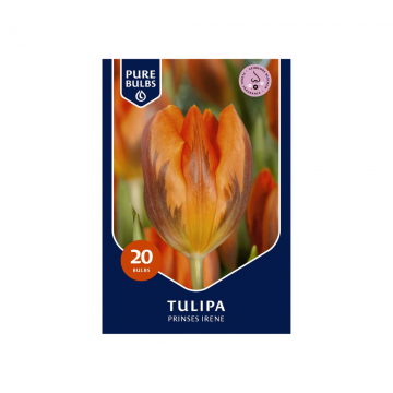 Pure Bulbs Tulipa Prinses Irene 20 bollen