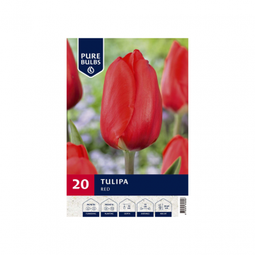 Pure Bulbs Tulipa Red 20 bollen