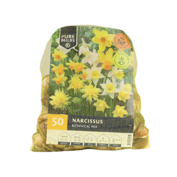 Pure Bulbs Narcissus Botanical mix 50 bollen