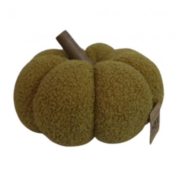 Pompoen Teddy Groen 15 x 25